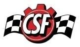 CSF.jpg