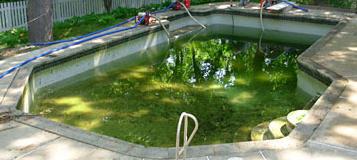 Before Pool