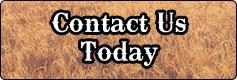 Contact Us Today