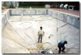 New Liner: Before