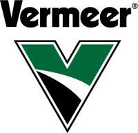 vermeer.jpg