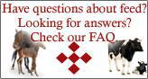 Have questions about feed? Looking for answers? Check out our FAQ.