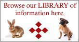 Browse our LIBRARY of information here.