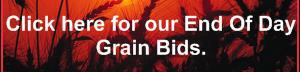 GrainBids.jpg