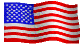 americanwavingflag.gif