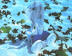 Polaris Pool Cleaner