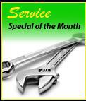 Service: Special of the month!