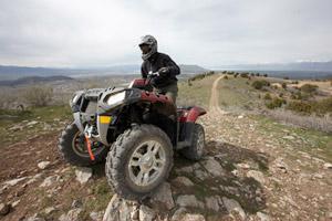 Sportsman