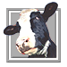 dairy