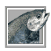 fish aquatics