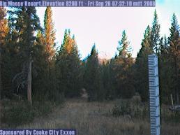 Click to view Big Moose Resort Web Cam