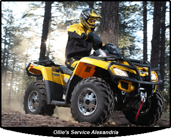 Ollie's Service Alexandria