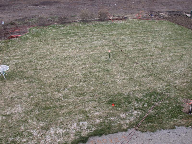 Pool Construction Process