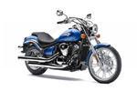 Kawasaki Cruiser