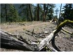 Onion Lake - 8
