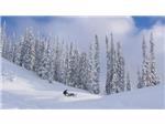 Revelstoke - 9
