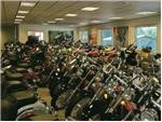 SHOWROOM 3