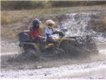 The boys rip it up