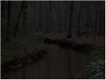 "NO WAKE" 1
