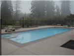 Custom Pool #9