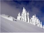 Revelstoke - 6