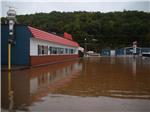 THE FLOOD