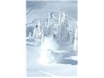 Revelstoke - 4