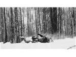 Monashee - 5
