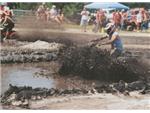 In the Mud
