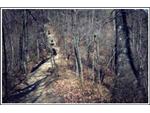 One of the easy trails at Exit 49 KY