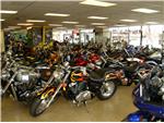 Showroom 4
