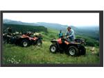 ATVs