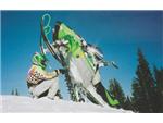Snowmobile Track