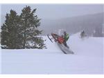 In the Snow