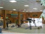 THE TILING OF THE SHOWROOM