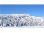 Revelstoke - 7