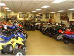 Showroom 1