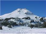 Mountain Image 2