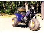 1985 Polaris Scrambler 250 3-Wheeler