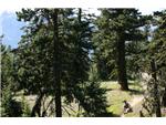 Onion Lake - 3