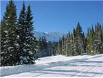 Mountain Image 5