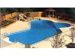 In Ground Pool