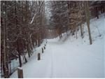 Snowmobiling