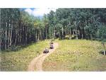 ATVs