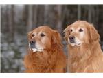 Brothers: Beauzman and Russell