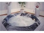 Indoor Spa