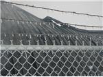 ICE ON THE FENCE