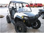 David's 2008 RZR