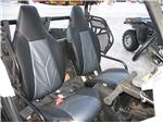 David's 2008 RZR