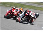 Fontana 2009